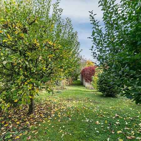 Im Blumengarten * Angermunde