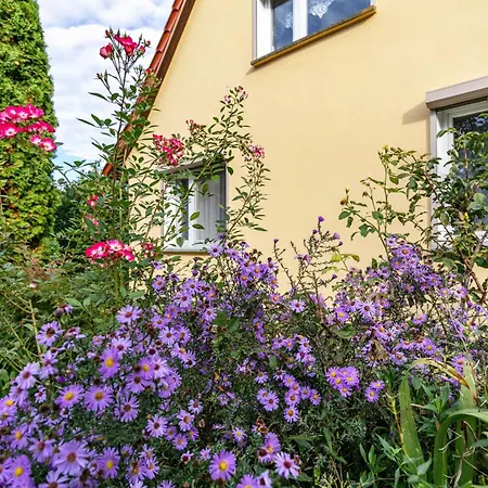 Apartment Im Blumengarten *