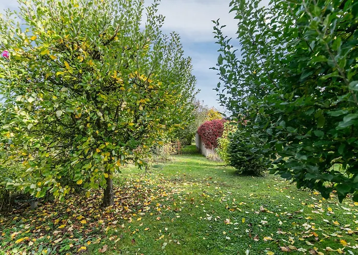 Im Blumengarten * Angermunde